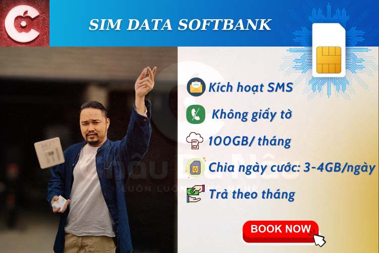 Sb 100gb